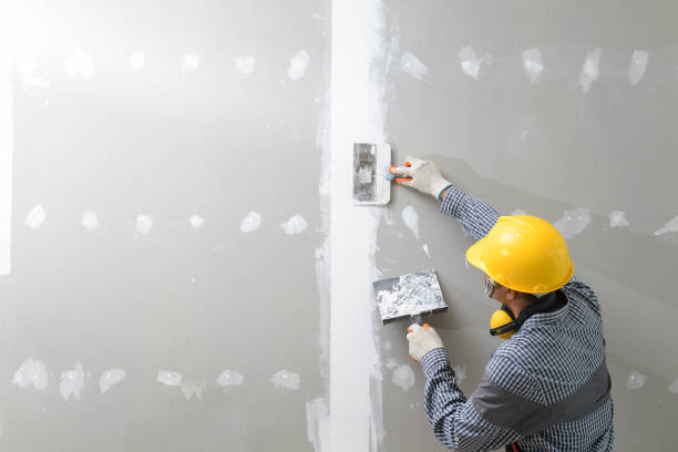 Best Custom Drywall Designs  in Miller Place, NY